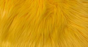 Yellow Luxury Shag