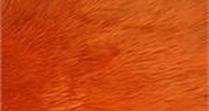Orange Shaggy