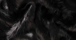 Black Shaggy