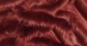 Maroon Shaggy