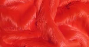 Fire Red Shaggy