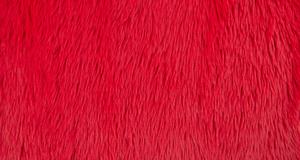 Dreamy Red