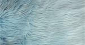 Light Blue Shaggy