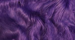 Purple Gorilla