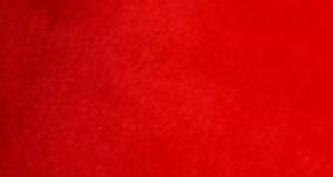 Cherry Red Seal