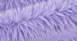 Dreamy Lavender