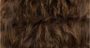 Brown Monkey