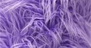 Lilac Mongolian