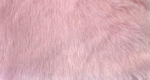 Baby Pink Luxury Teddy
