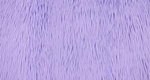 Dreamy Lavender