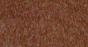 Chocolate Cubby Bear Short