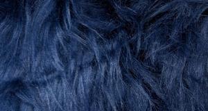 Punky Muppet Navy