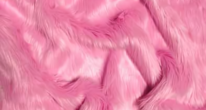 Bubble Gum Shaggy