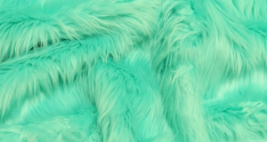 Aqua Shaggy