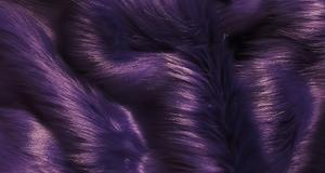 Purple Shaggy