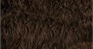 Chocolate Mongolian Sheep