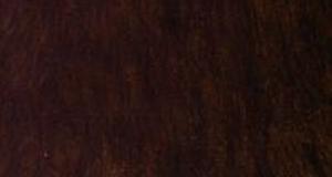 Cinnamon Cubby Bear