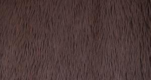 Dreamy Brown
