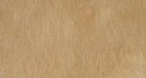 Honey (Bone) Teddy Bear