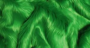 Kelly Green Shaggy