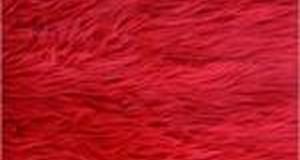 Red Shaggy