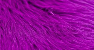 Grape Luxury Shag