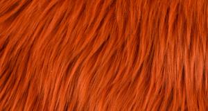 Rust Luxury Shag