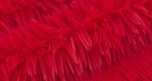 Dreamy Red