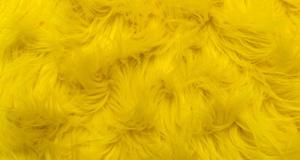 Party Monster Yellow