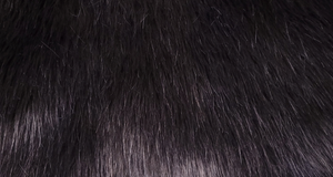 Black Luxury Fox