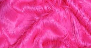 Fuchsia Gorilla