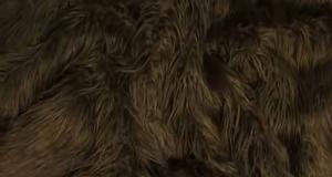 Brown Mongolian