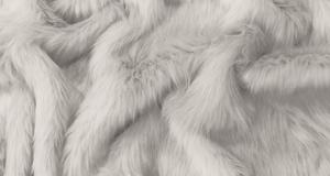 Platinum Arctic Fox