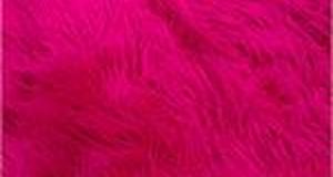 Fuchsia Mongolian