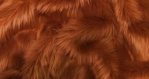 Rust Shaggy