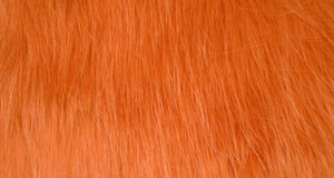 Gingerbread Fox