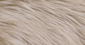 Sand Luxury Shag