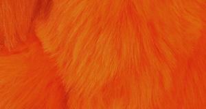 Orange Short Shag