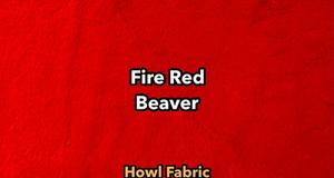 Fire Red Beaver (Super Seal)