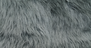 Gray Luxury Fox