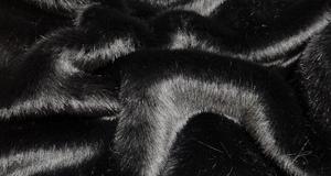Stretch Black