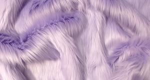 Lavender Shaggy