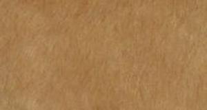 Warm Beige Short Teddy Bear