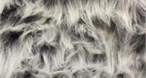 Gray Frost Monkey