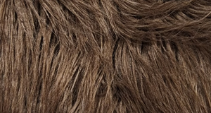 Brown Monster