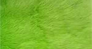 Lime Shaggy