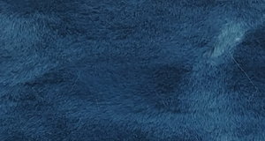 Denim Beaver