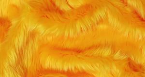 Mango Shaggy