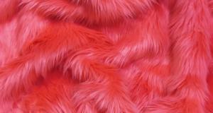 Watermelon Shaggy
