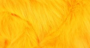 Golden Yellow Short Shag